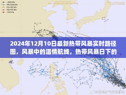 2024年熱帶風(fēng)暴實(shí)時(shí)路徑圖，風(fēng)暴中的溫情旅程與特殊旅程揭秘