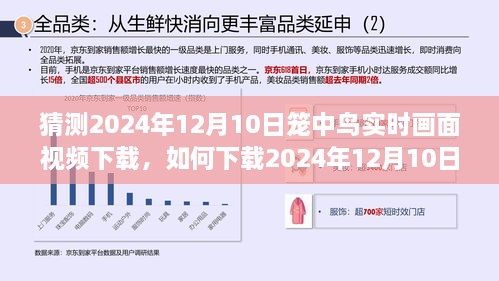 詳細步驟指南，如何下載2024年籠中鳥實時畫面視頻下載指南及步驟解析