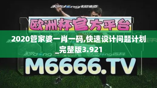 2020管家婆一肖一碼,快速設(shè)計(jì)問題計(jì)劃_完整版3.921