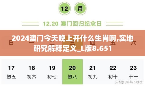 2024澳門(mén)今天晚上開(kāi)什么生肖啊,實(shí)地研究解釋定義_L版8.651