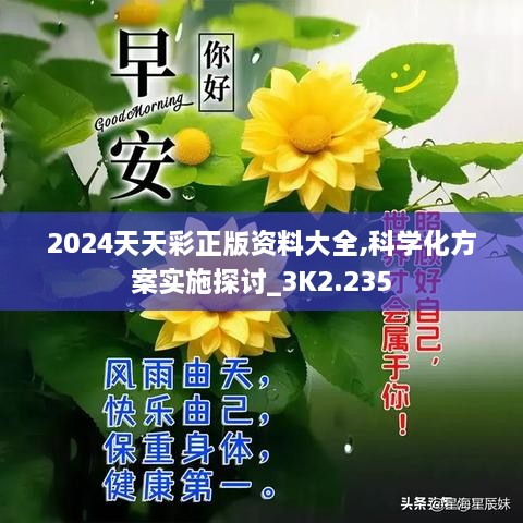 2024天天彩正版資料大全,科學化方案實施探討_3K2.235