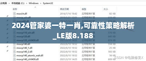 2024管家婆一特一肖,可靠性策略解析_LE版8.188