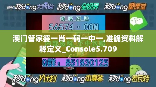 澳門管家婆一肖一碼一中一,準確資料解釋定義_Console5.709