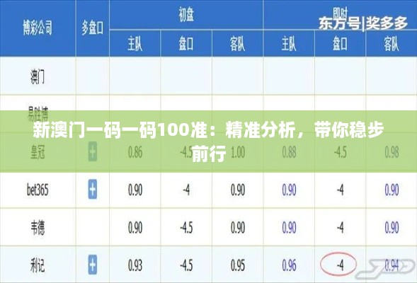 新澳門一碼一碼100準(zhǔn)：精準(zhǔn)分析，帶你穩(wěn)步前行