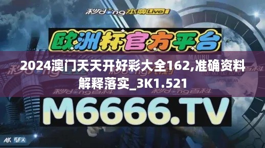 2024澳門天天開好彩大全162,準(zhǔn)確資料解釋落實_3K1.521