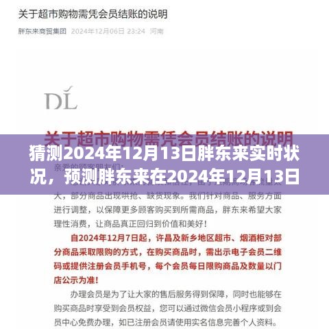 2024年12月13日胖東來商業(yè)前景預(yù)測與實(shí)時(shí)狀況分析