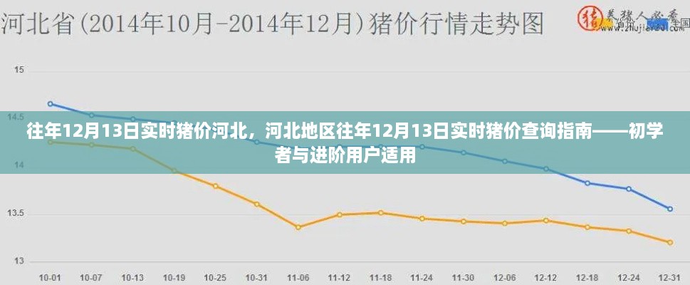 河北地區(qū)歷年12月13日實時豬價查詢指南，初學(xué)者與進階用戶必備參考