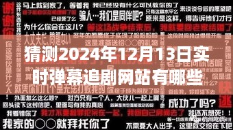 2024年實時彈幕追劇網(wǎng)站展望，背景、發(fā)展與行業(yè)地位深度解析