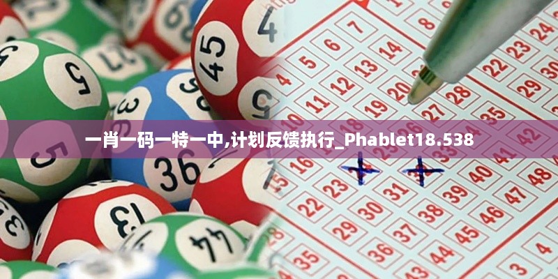 一肖一碼一特一中,計劃反饋執(zhí)行_Phablet18.538