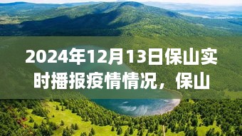 保山疫情實(shí)時(shí)播報(bào)與美景之旅，心靈避風(fēng)港，啟程尋找內(nèi)心寧靜與奇跡之旅（XXXX年XX月XX日）