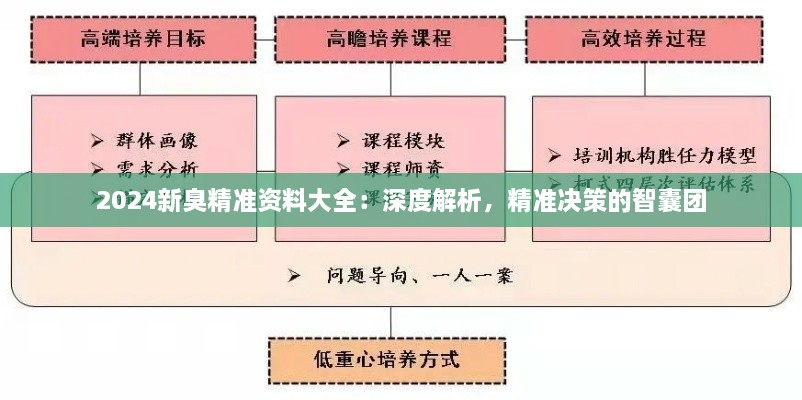 2024新臭精準(zhǔn)資料大全：深度解析，精準(zhǔn)決策的智囊團(tuán)