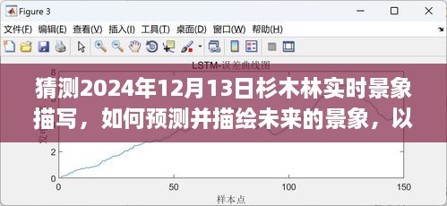 預(yù)測與描繪未來，杉木林在2024年12月13日的實時景象