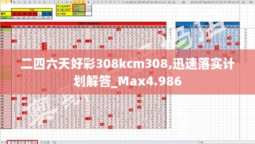 二四六天好彩308kcm308,迅速落實計劃解答_Max4.986