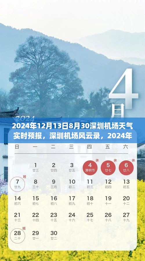 深圳機(jī)場(chǎng)天氣預(yù)報(bào)紀(jì)實(shí)，風(fēng)云變幻下的航班動(dòng)態(tài)與影響