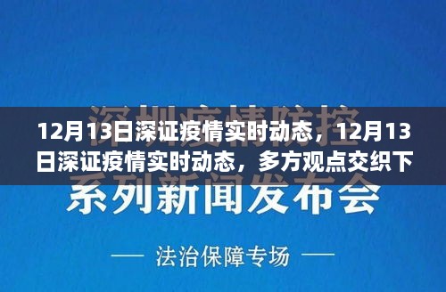 多方觀點(diǎn)交織下的洞察與反思，12月13日深證疫情實(shí)時動態(tài)分析