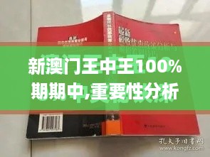 新澳門王中王100%期期中,重要性分析方法_紀念版5.761