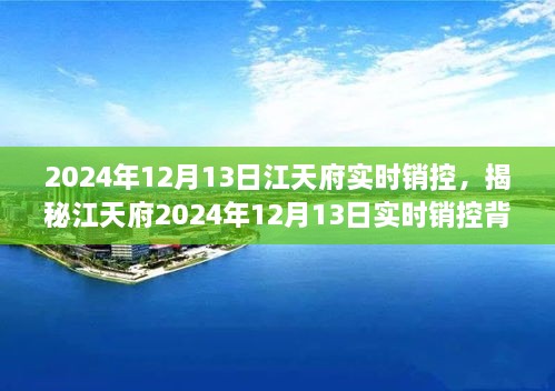 揭秘江天府實時銷控背后的秘密，深度解析2024年12月13日數據動態(tài)與趨勢分析