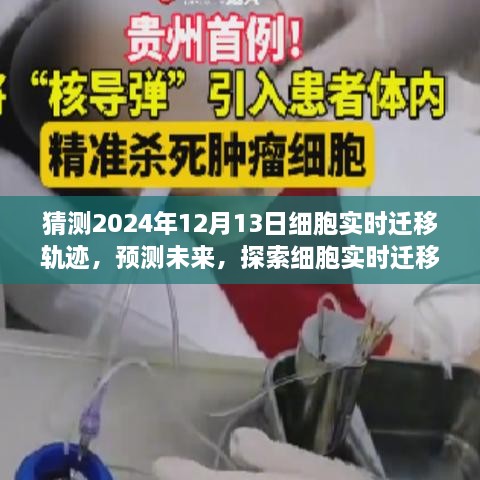 探索未來，預測細胞實時遷移軌跡技術——以2024年細胞遷移軌跡產品為例的預測分析