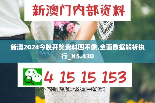 新澳2024今晚開獎資料四不像,全面數(shù)據(jù)解析執(zhí)行_X5.430