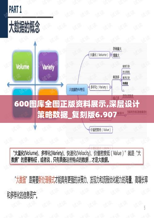 600圖庫全圖正版資料展示,深層設(shè)計策略數(shù)據(jù)_復(fù)刻版6.907