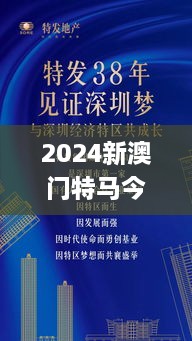 2024新澳門(mén)特馬今晚開(kāi)什么,實(shí)地執(zhí)行考察方案_6DM19.732