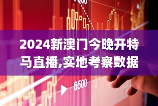 2024新澳門今晚開特馬直播,實(shí)地考察數(shù)據(jù)策略_Premium10.593