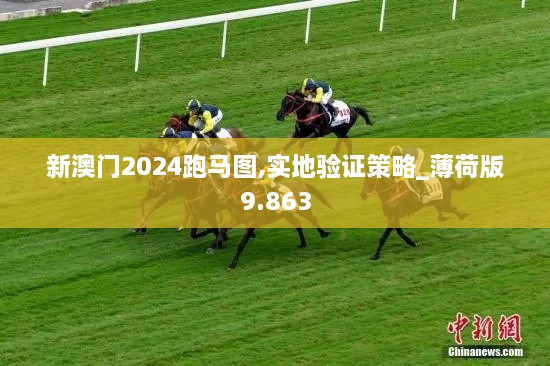 新澳門2024跑馬圖,實地驗證策略_薄荷版9.863