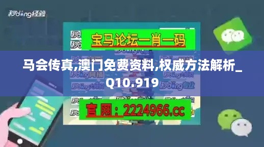 馬會(huì)傳真,澳門免費(fèi)資料,權(quán)威方法解析_Q10.919