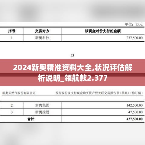 2024新奧精準資料大全,狀況評估解析說明_領(lǐng)航款2.377