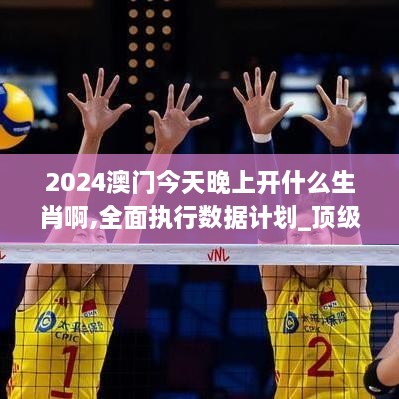 2024澳門今天晚上開什么生肖啊,全面執(zhí)行數(shù)據(jù)計劃_頂級款10.847