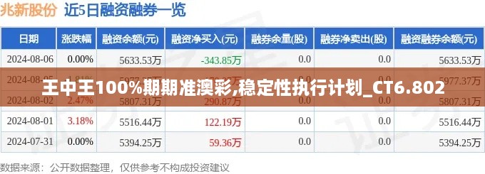 王中王100%期期準(zhǔn)澳彩,穩(wěn)定性執(zhí)行計劃_CT6.802