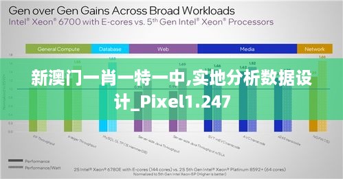 新澳門一肖一特一中,實地分析數(shù)據(jù)設(shè)計_Pixel1.247