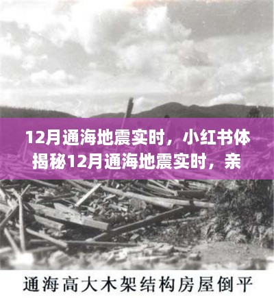 揭秘通海地震親歷者真實感受與應對策略，小紅書實時更新地震動態(tài)！