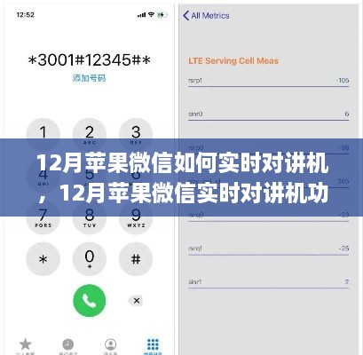 12月蘋(píng)果微信實(shí)時(shí)對(duì)講機(jī)功能使用指南，步驟詳解與操作技巧