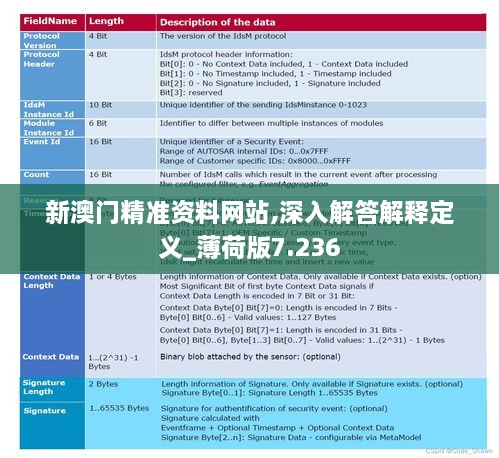 2024年12月18日 第49頁