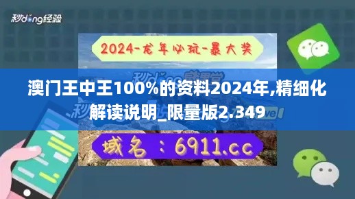 澳門王中王100%的資料2024年,精細化解讀說明_限量版2.349