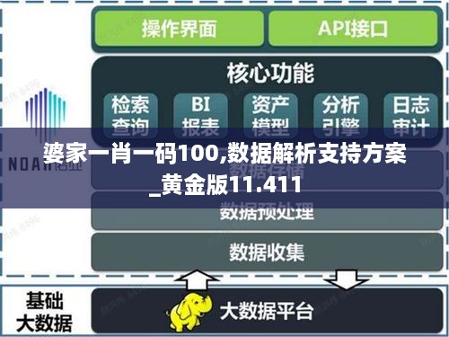 婆家一肖一碼100,數(shù)據解析支持方案_黃金版11.411