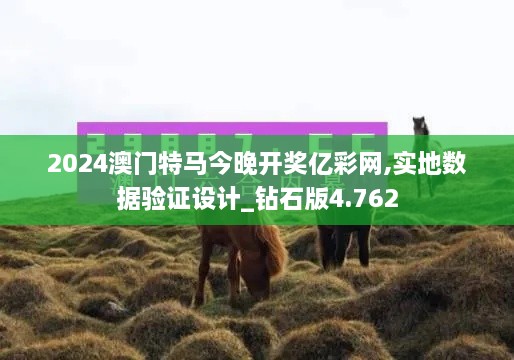 2024澳門特馬今晚開獎(jiǎng)億彩網(wǎng),實(shí)地?cái)?shù)據(jù)驗(yàn)證設(shè)計(jì)_鉆石版4.762