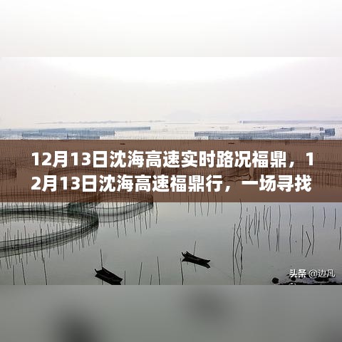 12月13日沈海高速福鼎路況實(shí)時更新，心靈與自然之旅的親密接觸