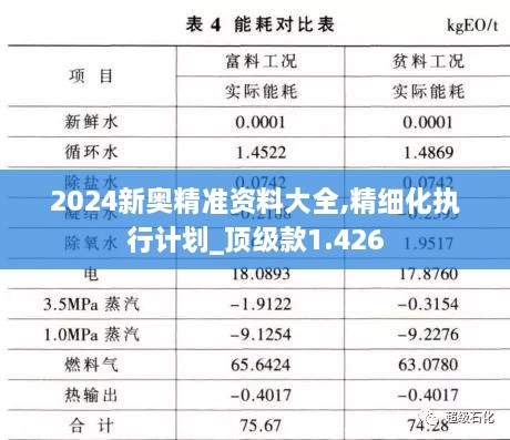 2024新奧精準(zhǔn)資料大全,精細化執(zhí)行計劃_頂級款1.426