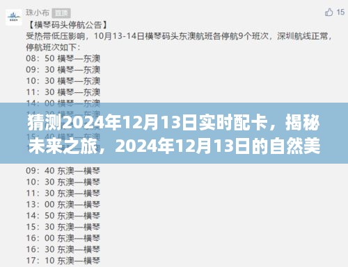 揭秘未來之旅，啟程尋找內(nèi)心的寧靜與平和——2024年12月13日自然美景配卡猜想