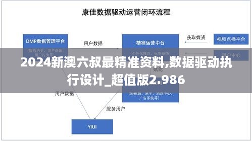 2024新澳六叔最精準資料,數(shù)據(jù)驅(qū)動執(zhí)行設計_超值版2.986