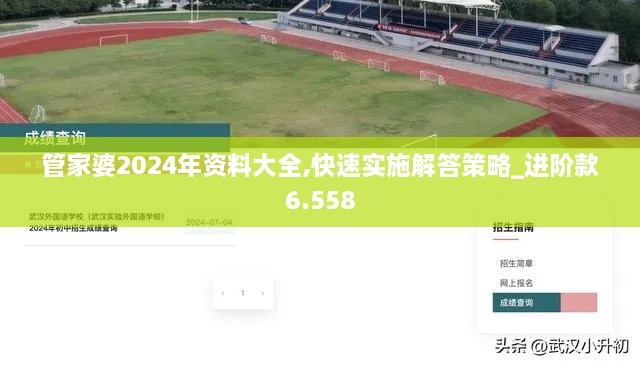 管家婆2024年資料大全,快速實施解答策略_進(jìn)階款6.558