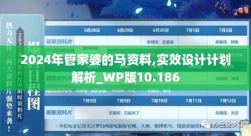 2024年管家婆的馬資料,實效設計計劃解析_WP版10.186