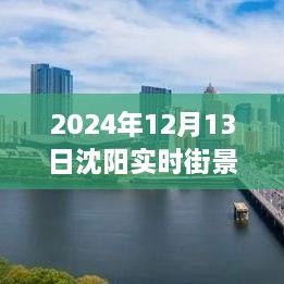 沈陽獨(dú)家揭秘，2024年實(shí)時街景地圖全解析，領(lǐng)略城市新風(fēng)貌