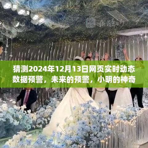 小明預(yù)測未來，神奇數(shù)據(jù)故事揭示2024年12月13日網(wǎng)頁實時動態(tài)數(shù)據(jù)預(yù)警