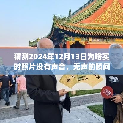 揭秘?zé)o聲瞬間背后的故事，為何2024年實(shí)時(shí)照片無(wú)聲開(kāi)啟學(xué)習(xí)與成長(zhǎng)之旅？