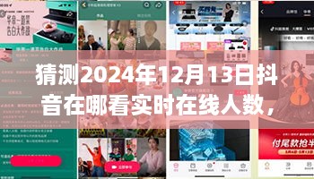 未來視野之旅，揭秘2024年抖音實(shí)時(shí)在線人數(shù)盛況——家庭日，在線情緣的見證