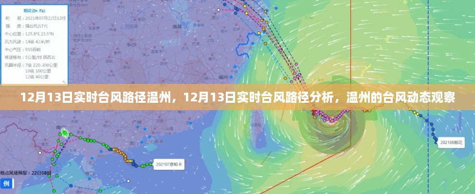 12月13日溫州臺風(fēng)路徑實(shí)時(shí)分析，最新動態(tài)與觀察報(bào)告