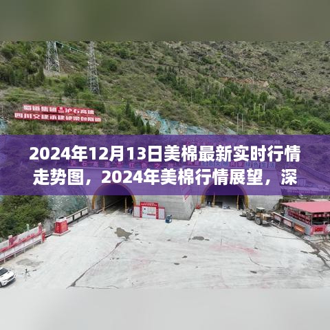 深度解析，2024年美棉行情展望與實(shí)時(shí)走勢(shì)圖背后的爭(zhēng)議